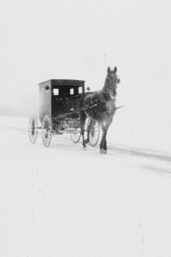 Hawkesville to Wallenstein (1976)