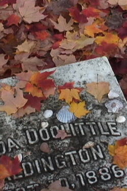 H.D. (2005) H.D. (2005)