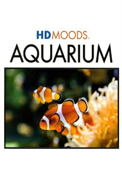 HD MOODS: AQUARIUM (2008) HD MOODS: AQUARIUM (2008)