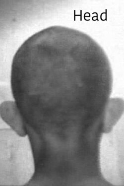 Head (1976)