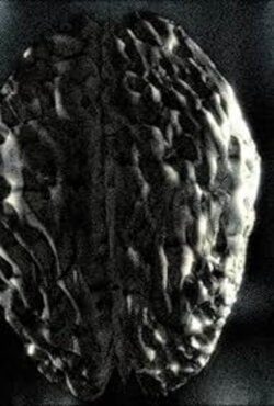 Headcleaner (1999)