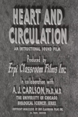 Heart and Circulation (1937)