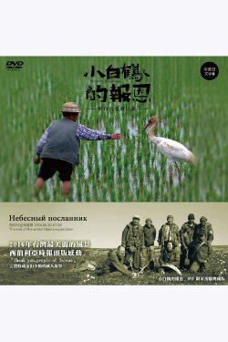 Heavenly Messenger (2017) Heavenly Messenger (2017)