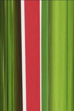 Heineken (2007) Heineken (2007)