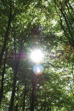 Heliocentric (2010)