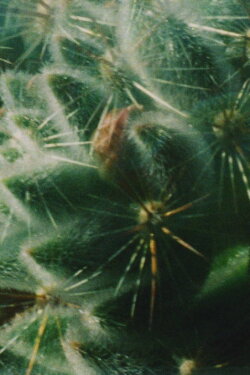 Helios (2018)