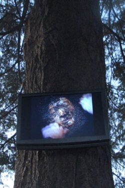 Hell Money (2010) Hell Money (2010)