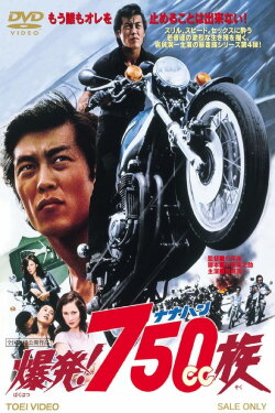 Hell Riders (1976) Hell Riders (1976)
