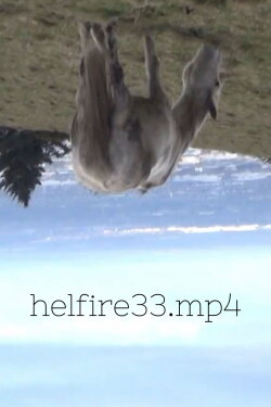 hellfire33.mp4 (2023)
