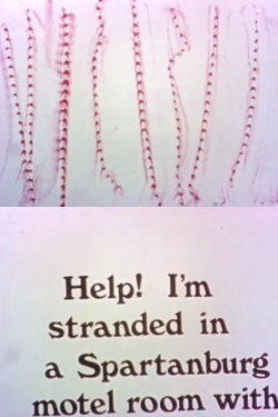 Help! I’m Stranded… (1981)