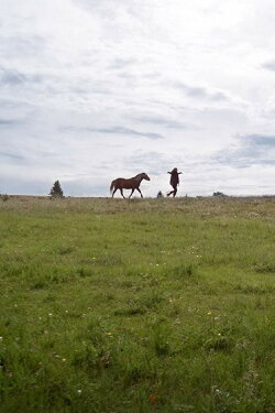 Herd (2016) Herd (2016)