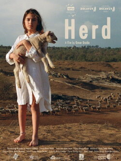 Herd (2021) Herd (2021)