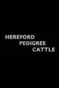 Hereford Pedigree Cattle (1937) Hereford Pedigree Cattle (1937)