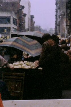 Herein (1991)