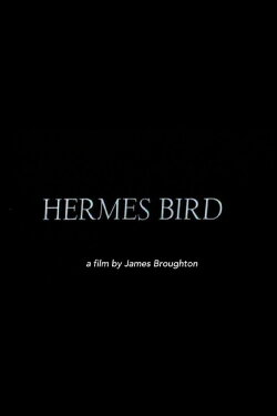 Hermes Bird (1979)