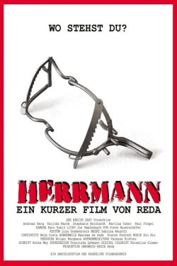 Herrmann (2013) Herrmann (2013)