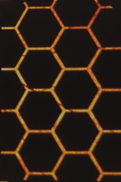 Hexes (1982) Hexes (1982)