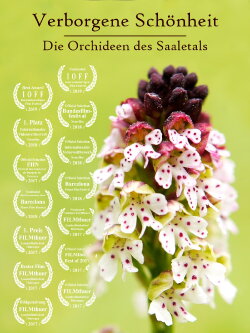 Hidden Beauty - The Orchids of the Saale Valley (2017) Hidden Beauty - The Orchids of the Saale Valley (2017)