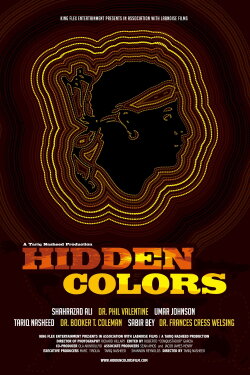 Hidden Colors (2011)