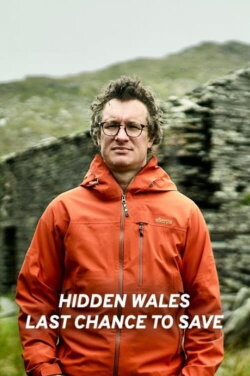 Hidden Wales: Last Chance to Save (2022)