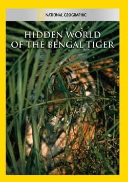 Hidden World of the Bengal Tiger (1999) Hidden World of the Bengal Tiger (1999)