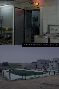 Hide and Seek in a Peaceful Valley (2020) Hide and Seek in a Peaceful Valley (2020)