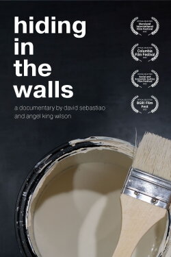Hiding in the Walls (2022) Hiding in the Walls (2022)