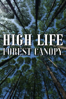 High Life: Forest Canopy (2021)