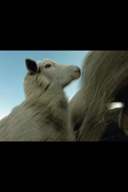 High Trail (2010)