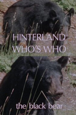 Hinterland Who's Who: Black Bear (1978) Hinterland Who's Who: Black Bear (1978)