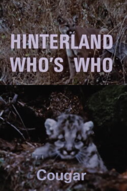 Hinterland Who's Who: Cougar (1970) Hinterland Who's Who: Cougar (1970)