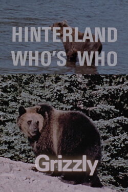 Hinterland Who's Who: Grizzly (1972) Hinterland Who's Who: Grizzly (1972)