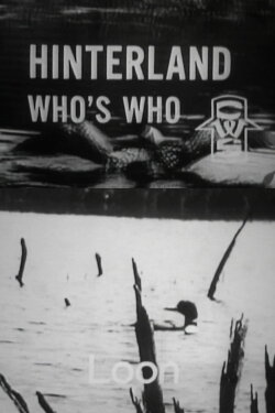 Hinterland Who's Who: Loon (1963) Hinterland Who's Who: Loon (1963)