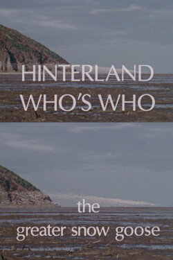 Hinterland Who's Who: The Greater Snow Goose (1978)
