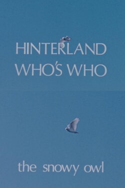 Hinterland Who's Who: The Snowy Owl (1973) Hinterland Who's Who: The Snowy Owl (1973)