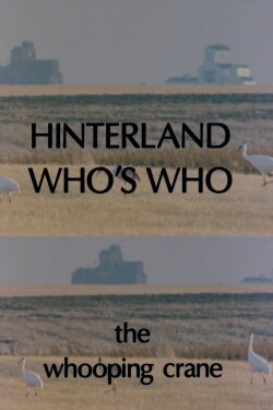 Hinterland Who's Who: Whooping Crane (1978)