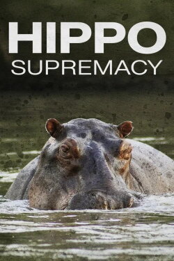 Hippo Supremacy (2023) Hippo Supremacy (2023)