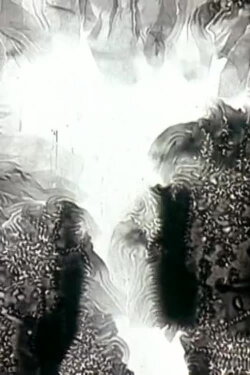 Histoires parallèlles (1990) Histoires parallèlles (1990)