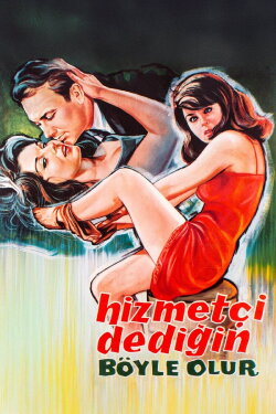 Hizmetçi Dediğin Böyle Olur (1964) Hizmetçi Dediğin Böyle Olur (1964)