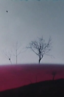 Ho fatto un film a Varese 1° (1970) Ho fatto un film a Varese 1° (1970)