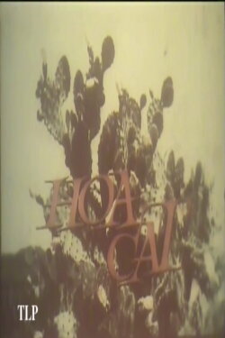 Hoa Cát (1989)