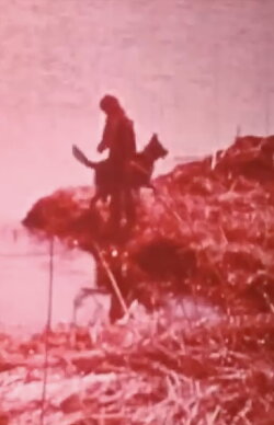 Hobo and the Runaway (1975) Hobo and the Runaway (1975)