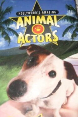 Hollywood's Amazing Animal Actors (1996) Hollywood's Amazing Animal Actors (1996)