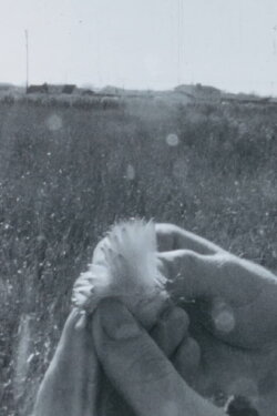 Homage #5 (1970) Homage #5 (1970)