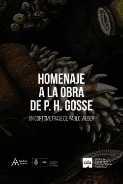 Homage to the Work of Philip Henry Gosse (2020)