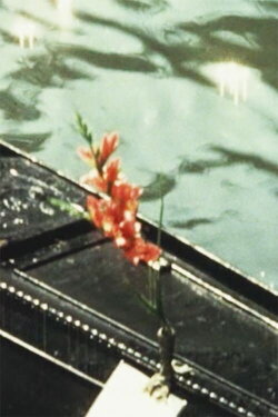 Home Movies - Rome/Florence/Venice/Greece (1965) Home Movies - Rome/Florence/Venice/Greece (1965)