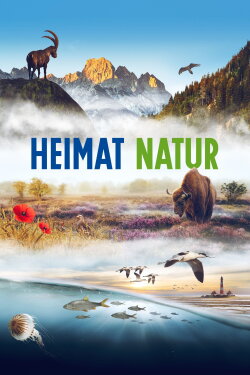 Homeland Nature (2021) Homeland Nature (2021)