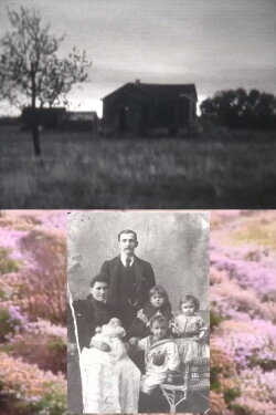 Homelands (2010) Homelands (2010)