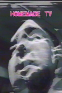 Homemade TV: Vasulkas II (1975)