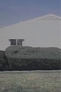 Homogeneity (1998) Homogeneity (1998)